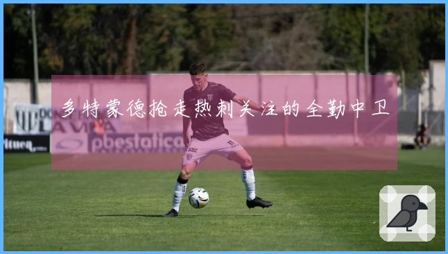 多特蒙德抢走热刺关注的全勤中卫