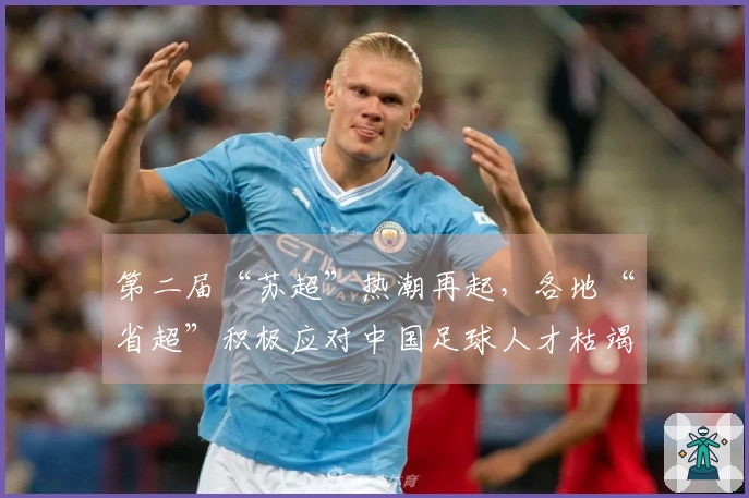 第二届“苏超”热潮再起，各地“省超”积极应对中国足球人才枯竭问题